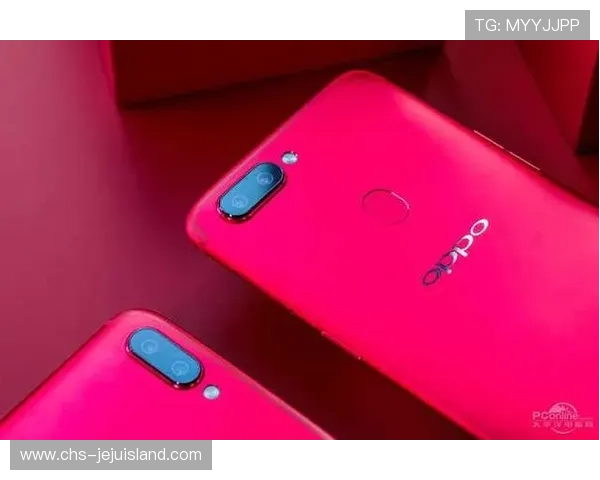 爱游戏体育登录流程详细解析，轻松应对各种登录问题的实用技巧